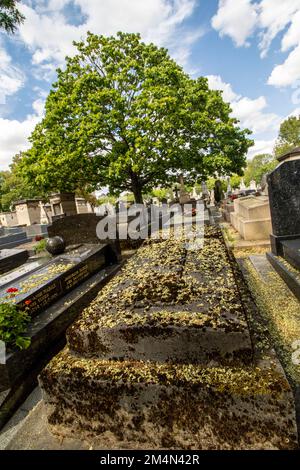 Striking view of Père Lachaise, Cemetery, Cimetière du Père-Lachaise, cimetière de l’Est, Paris, France Stock Photo