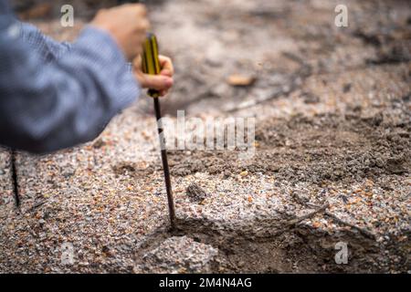 prospecting for gems and panning for gold in the bush in australia in spring Stock Photo