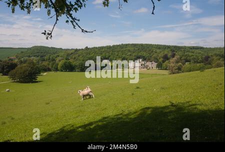 grounds of  West Dean gardens with West Dean college near Chichester Sussex England Stock Photo