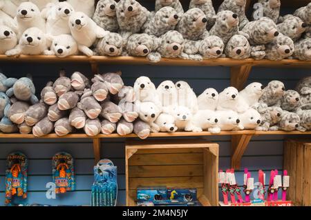 Soft toy seal shark and dolphins at shop in Blue Reef aquarium Portsmouth Stock Photo