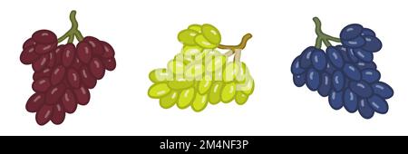 Three bunches of grapes green, pink and blue on white background. Hand-drawn vector illustration in doodle style with thick outlines. Stock Vector