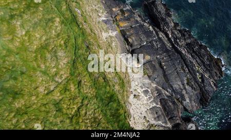 Dense thickets of grass on the shore. Grass-covered rocks on the Atlantic Ocean coast. Nature of Ireland, top view. Drone point of view. View from abo Stock Photo