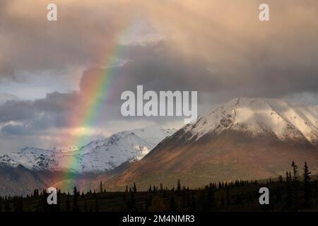 Autumn colors, Tundr-Taiga, Alaskas Stock Photo