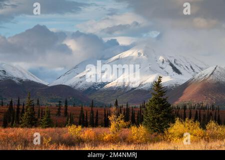 Autumn colors, Tundr-Taiga, Alaskas Stock Photo