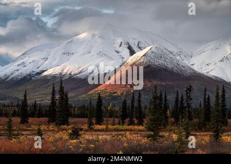Autumn colors, Tundr-Taiga, Alaskas Stock Photo