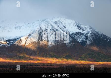 Autumn colors, Tundr-Taiga, Alaskas Stock Photo