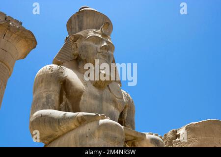 Ramses II. Seated Colossus of Ramesses II in the Colonnade of Amenophis III, Luxor Temple, Luxor, Nile Valley, Egypt Stock Photo