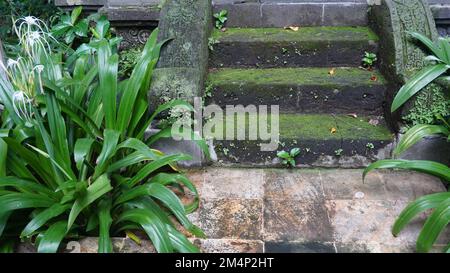 Old stone steps with lots of green moss Stock Photo