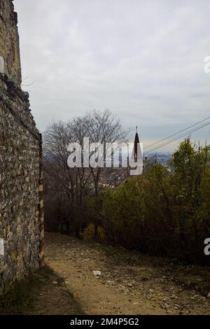 Dirt  path on a hill next to an ancient wall and a bell tower in the distance framed by olive trees on a cloudy day Stock Photo