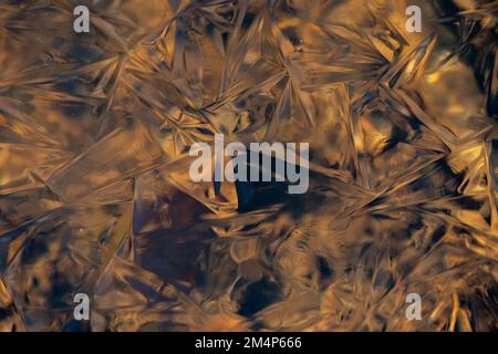 Close-up of Ice patterns captured in frozen stream in the New Forest hampshire UK. Stock Photo