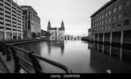 Buildings and railings frame the Royal Liver Building on the Liverpool waterfront as it reflects in the water of Princes Dock in December 2022. Stock Photo