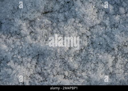 A close-up of frozen grass and moss in the New Forest Hampshire during the winter cold snap. Stock Photo