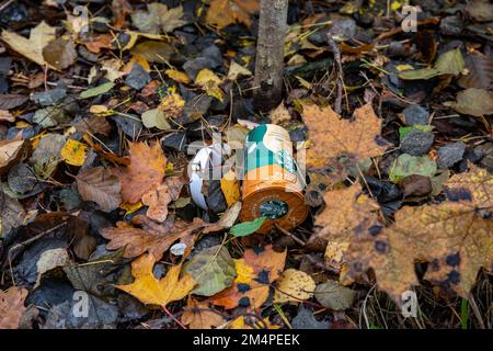 Throwaway Starbucks drink in disposable cup on the ground with fallen leaves Stock Photo