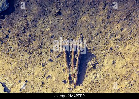 Old nails on concrete texture as abstract grunge background Stock Photo