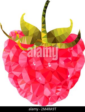 Polygonal   red raspberry Stock Photo
