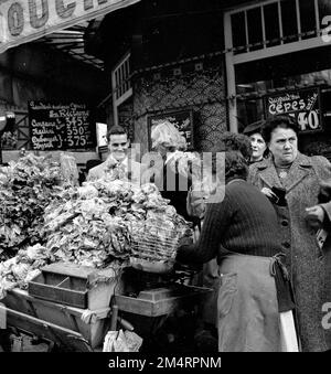 Life of a Marshall plan Secretary in Paris. Photographs of Marshall Plan Programs, Exhibits, and Personnel Stock Photo