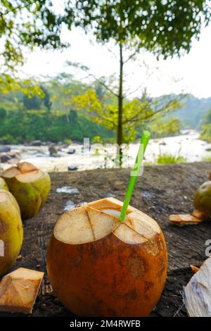 Drinking coconut water with a straw beside the river rafting view. Young coconut water and the rest of the coconut that has been opened Stock Photo