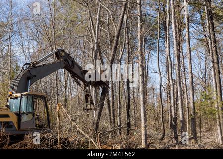 Tractor Skid Steers Were Used To Clear Land Uprooted Trees From For ...