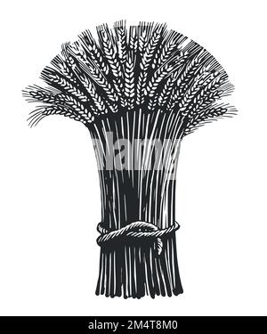 Bunch of wheat ears in vintage engraving style. Bread concept sketch ...