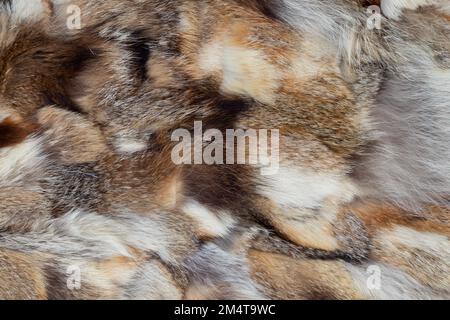 fur coat from pieces of fur of different animals as a background Stock Photo