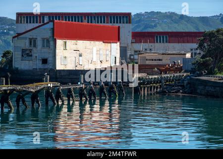 Old ex-military buildings beside harbour,  Mirimar, Wellington, North Island, New Zealand Stock Photo