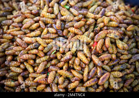 Fried bugs and insects are a common street food snack in Thailand and Cambodia. Stock Photo