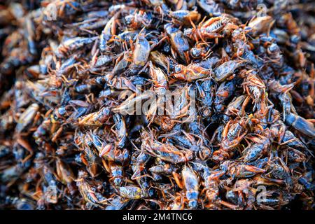 Fried bugs and insects are a common street food snack in Thailand and Cambodia. Stock Photo