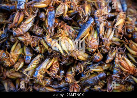 Fried bugs and insects are a common street food snack in Thailand and Cambodia. Stock Photo