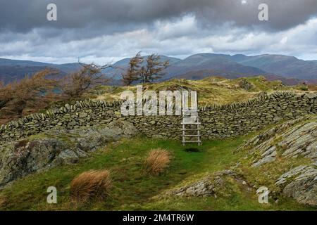 Ladder stile at the top of Black Fell between Skelwith Bridge and Ambleside. Stock Photo
