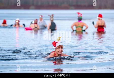 Members of the Loch Insh Dippers wild swim group take part in a Christmas-themed swim in Loch Insh in the Cairngorms National Park near Aviemore, Scotland. Picture date: Friday December 23, 2022. Stock Photo