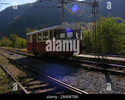 Old train in a abandoned train station in forest Stock Photo