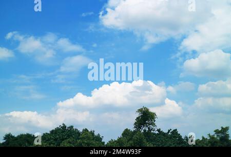 Vibrant Blue Sky with White Clouds over Green Foliage Stock Photo