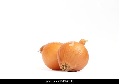 Shallot onions, two small onions isolated on white background. Fresh, aromatic and raw vegetable idea concept. Copy space, space for text. No people. Stock Photo