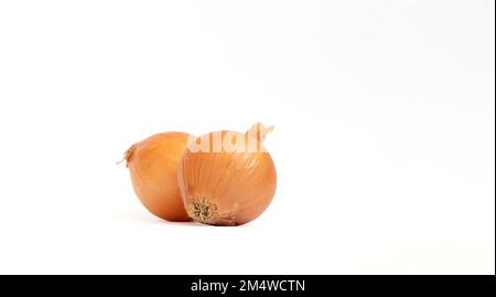 Shallot onions, two small onions isolated on white background. Fresh, aromatic and raw vegetable idea concept. Copy space, space for text. No people. Stock Photo