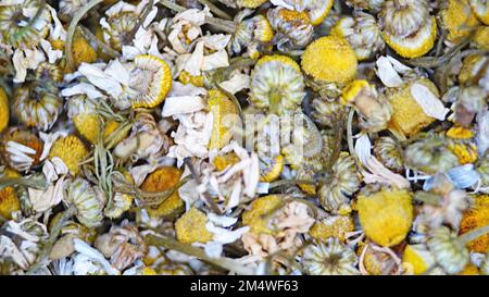 herbs and seeds for infusions with beneficial properties for health Stock Photo