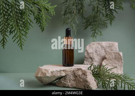 Podium of natural stone, green leaves, glass bottle essential oil, presentation of packaging, cosmetics on green background. Stock Photo
