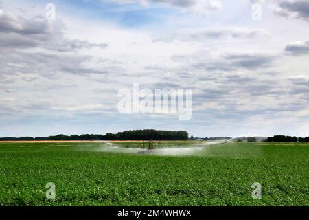 A Crop watering irrigation system near Wisbech Town; Fenland; Cambridgeshire; England; UK Stock Photo