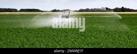 A Crop watering irrigation system near Wisbech Town; Fenland; Cambridgeshire; England; UK Stock Photo