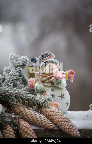 Vogel-Blaumeise am Schneemann und Fichtenzapfen im Winter Stock Photo