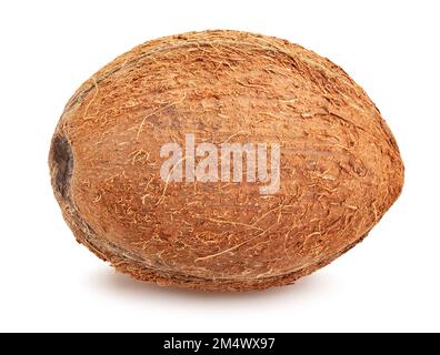 coconut path isolated on white Stock Photo