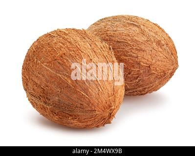 coconut path isolated on white Stock Photo