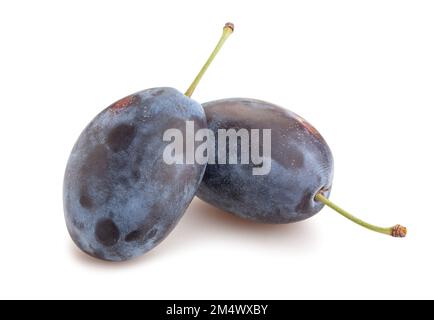 prune plums path isolated on white Stock Photo