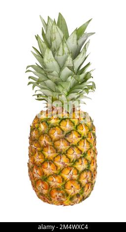 pineapple path isolated on white Stock Photo