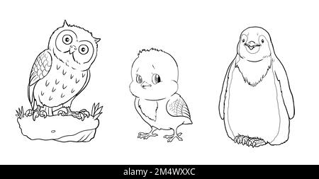 cute baby owl animals coloring pages