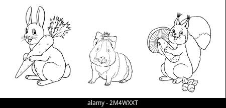 Cute rabbit, squirrel and guinea pig to color in. Template for a coloring book with funny animals. Coloring template for kids. Stock Photo