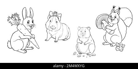 Cute rabbit, squirrel, hamster and guinea pig to color in. Template for a coloring book with funny animals. Coloring template for kids. Stock Photo