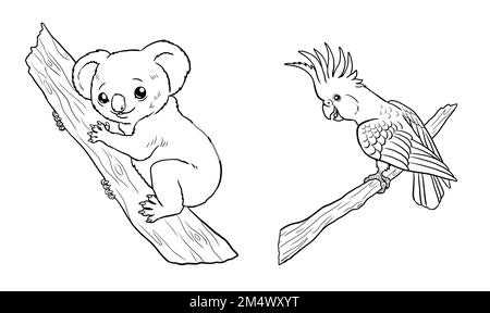 Cute koala and cockatoo for coloring. Template for a coloring book with funny animals. Coloring template for kids. Stock Photo