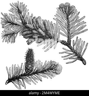 Busch 40 Miniatur-Tannenbäume – Edeltannen, Ca. 3-6 Cm Hoch, Für Modellbau & Dioramen