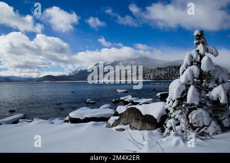 Fresh snow after a clearing storm, a beautiful winter morning. Lake Tahoe,  California Stock Photo