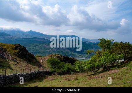 View towards Cader Idris across the River Mawddach from New Precipice Walk, which enables disabled access to panoramic mountain views. Llanelltyd, Dol Stock Photo